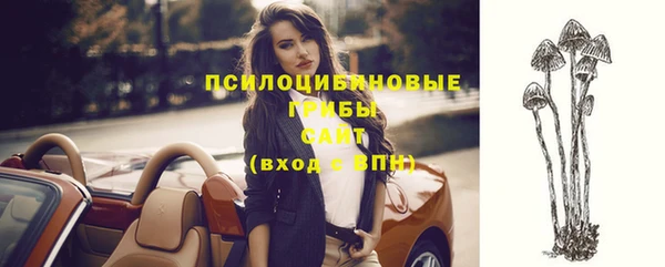 кристаллы Осинники