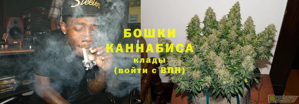 хмурый Сосновка